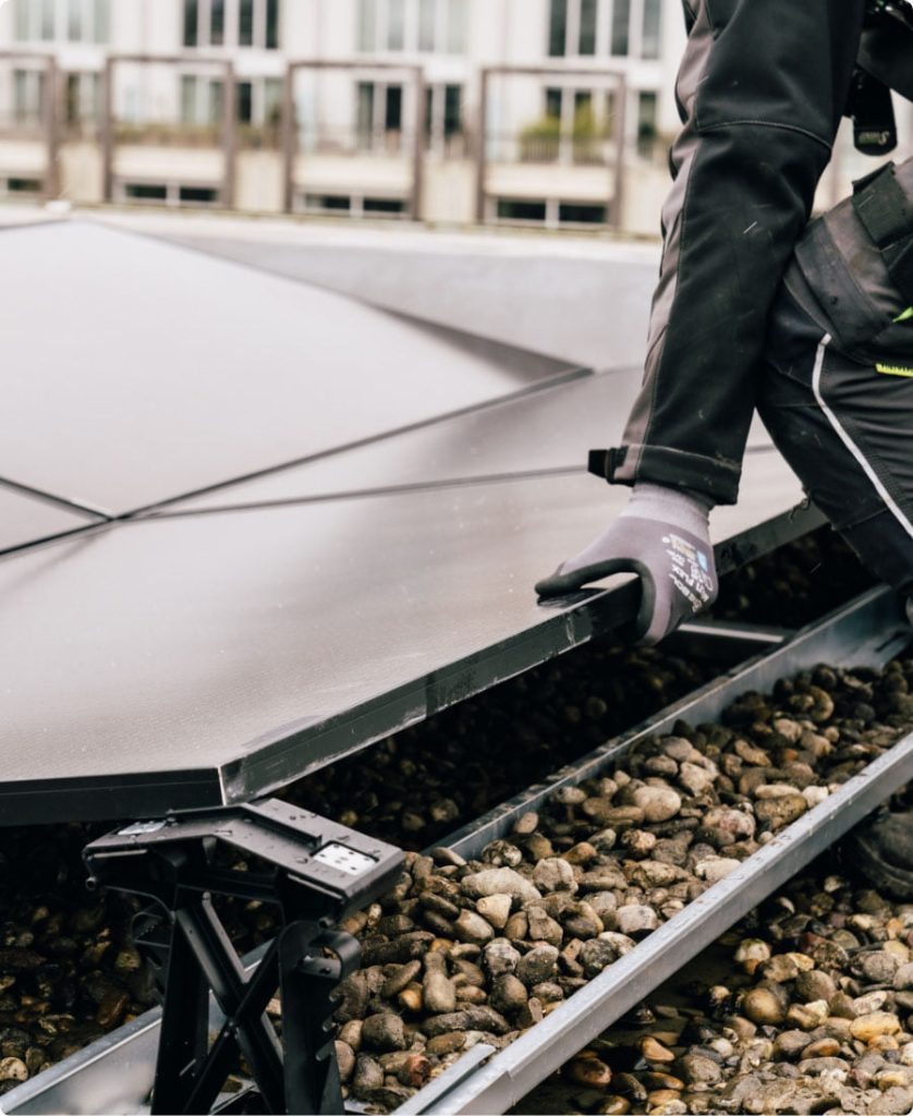 zonnepanelen